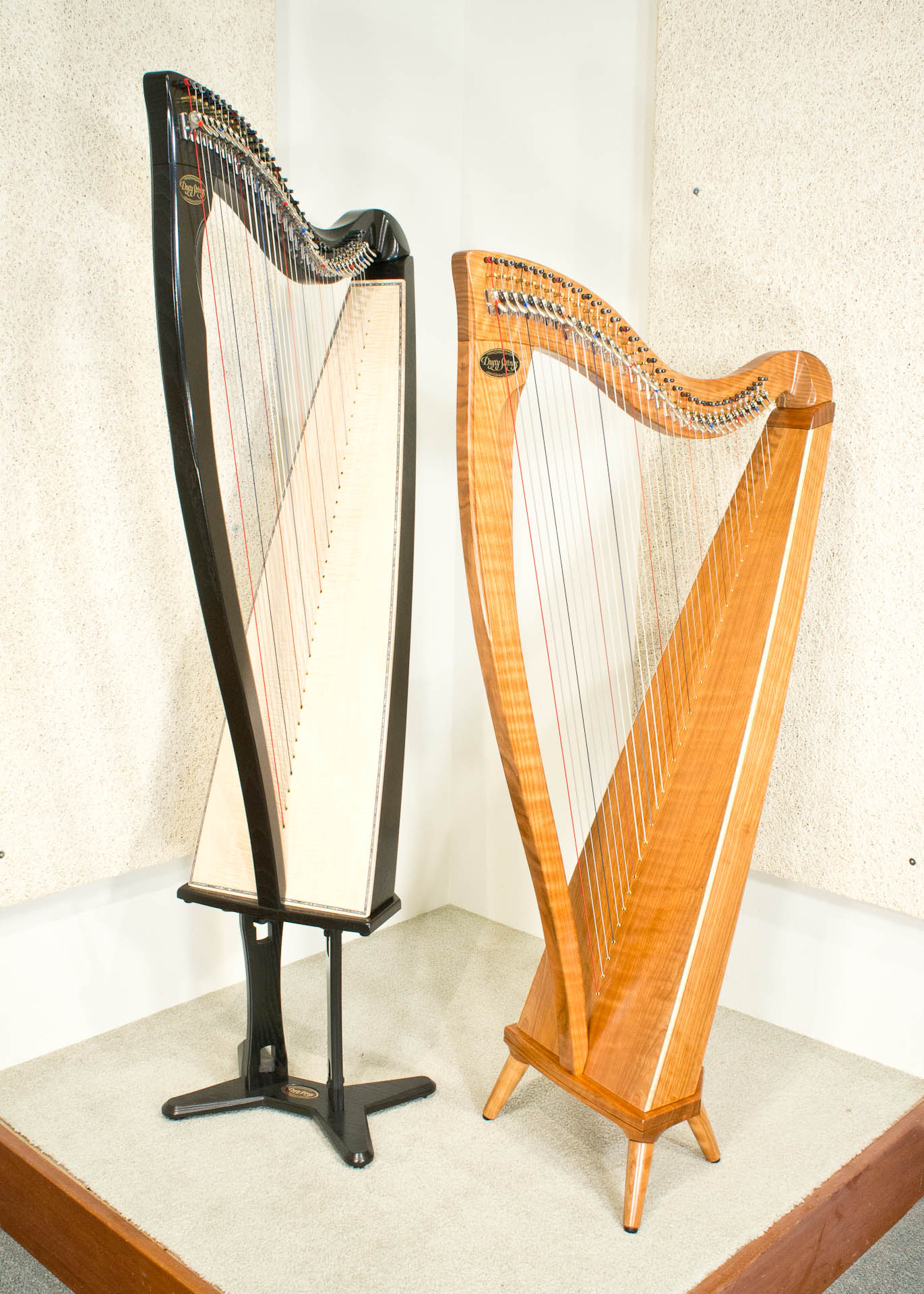 Dusty Harps at the 2023 Somerset Folk Harp Festival Dusty Strings